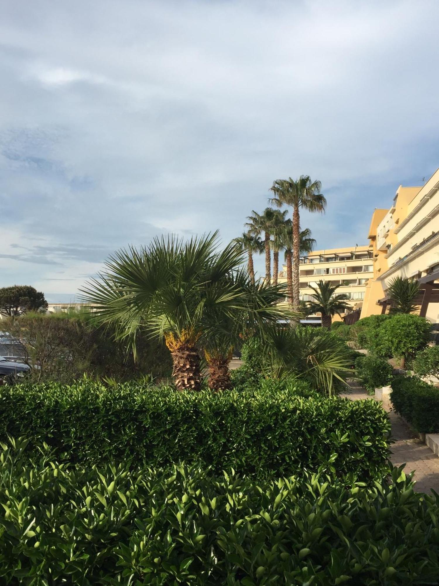 Port Nature By 8-homes Vue Port * Agde